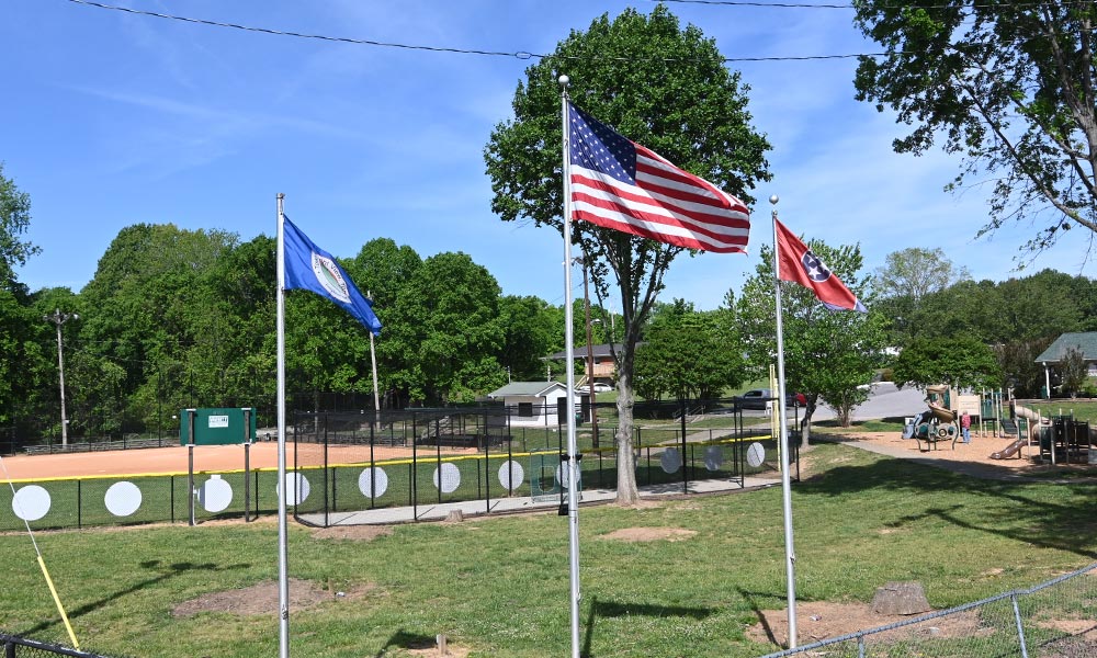 Pleasant View Baseball and Softball leagues