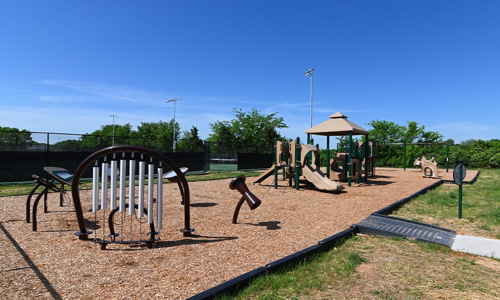 Community Park Playground