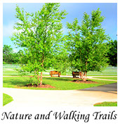 Nature Walking Trails